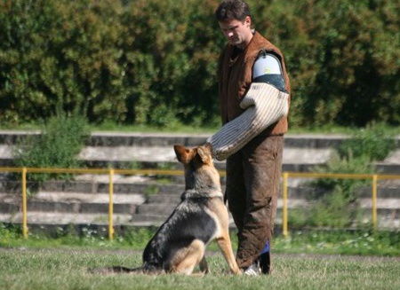 Estonian championship 2007 in IPO 3